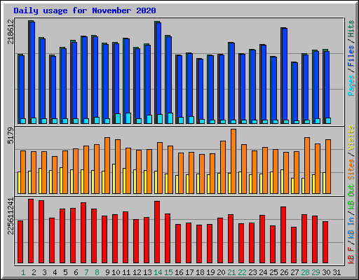 Daily usage for November 2020