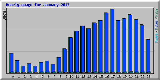Hourly usage for January 2017