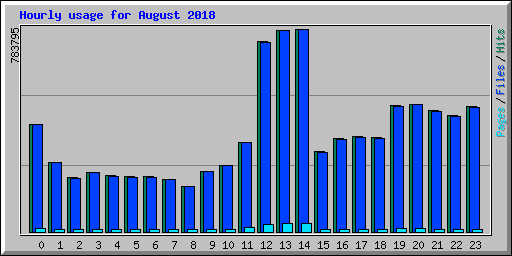 Hourly usage for August 2018