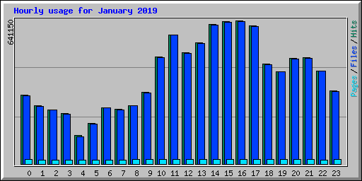 Hourly usage for January 2019