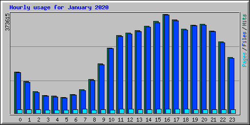 Hourly usage for January 2020