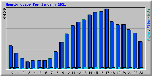 Hourly usage for January 2021
