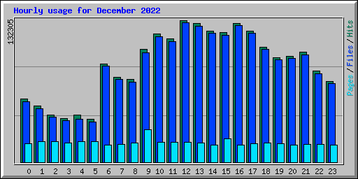 Hourly usage for December 2022