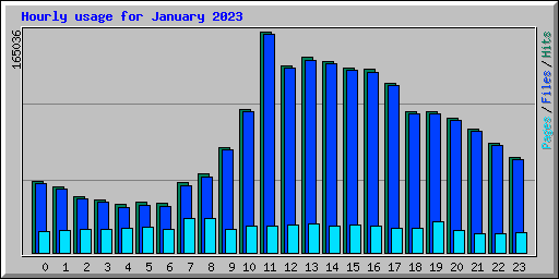 Hourly usage for January 2023