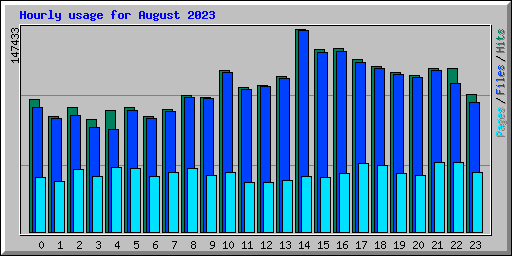 Hourly usage for August 2023
