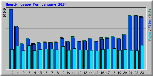 Hourly usage for January 2024