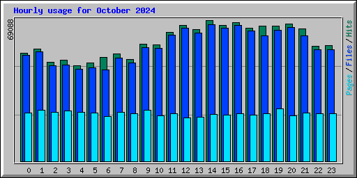 Hourly usage for October 2024