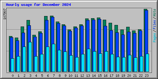 Hourly usage for December 2024