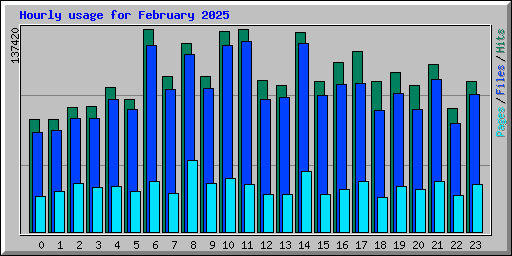 Hourly usage for February 2025