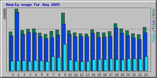 Hourly usage for May 2025