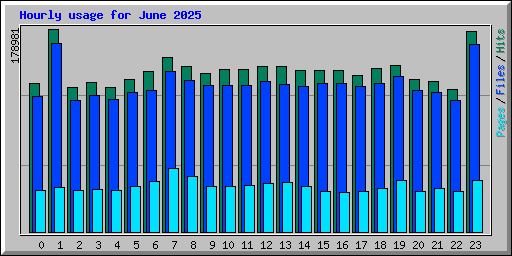 Hourly usage for June 2025