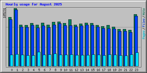 Hourly usage for August 2025