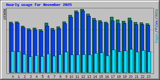 Hourly usage for November 2025
