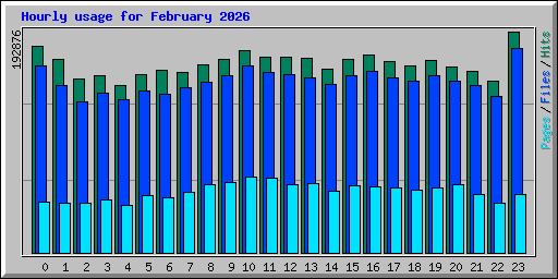 Hourly usage for February 2026