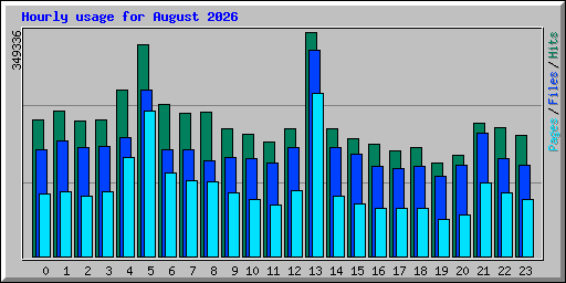 Hourly usage for August 2026